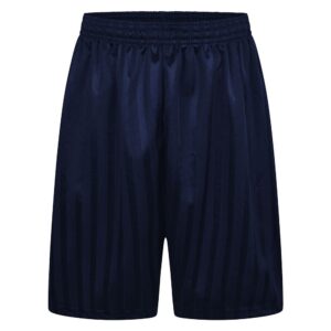Navy Shadow Stripes PE Shorts