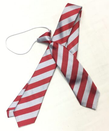 Priestmead School Tie