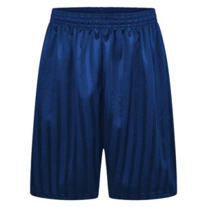 Royal Blue Shadow Stripe PE Shorts