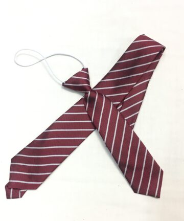 St John's COE School Tie